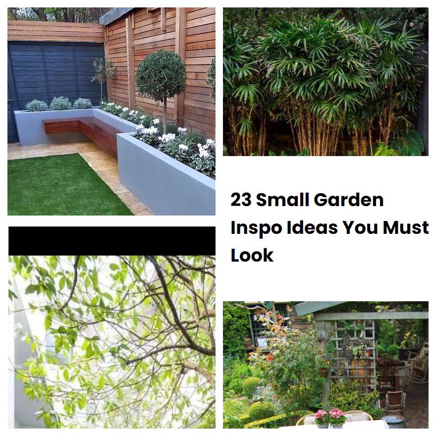 23 Small Garden Inspo Ideas You Must Look