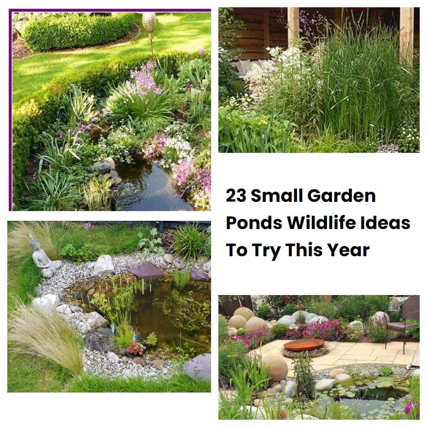 23 Small Garden Ponds Wildlife Ideas To Try This Year