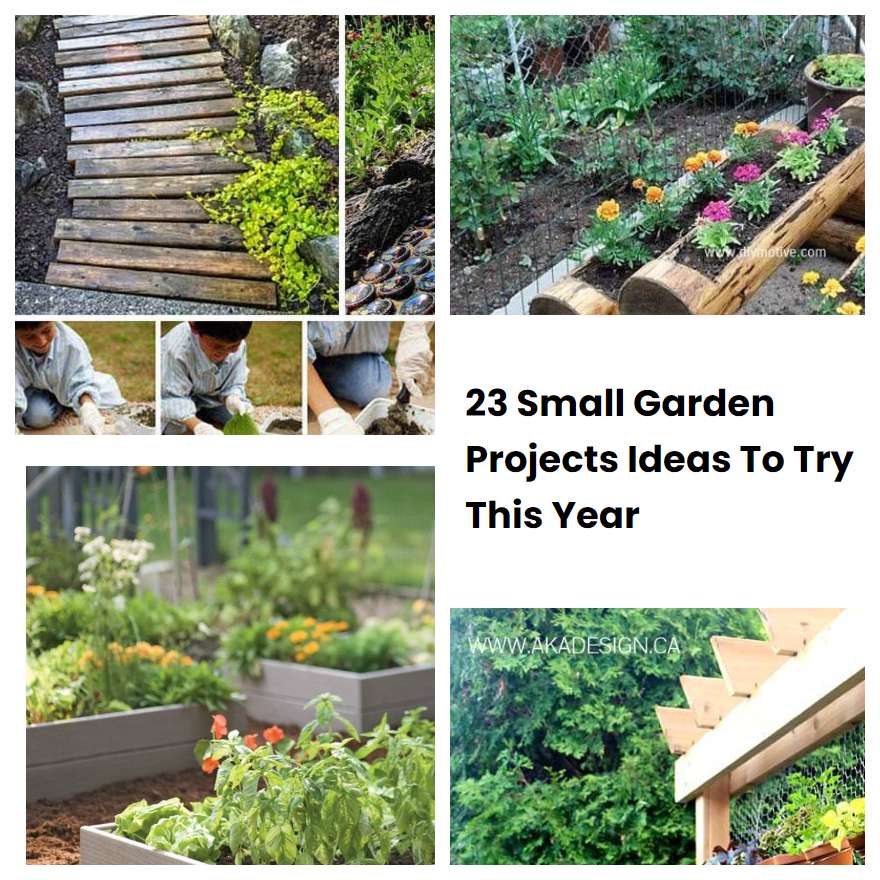 23 Small Garden Projects Ideas To Try This Year SharonSable