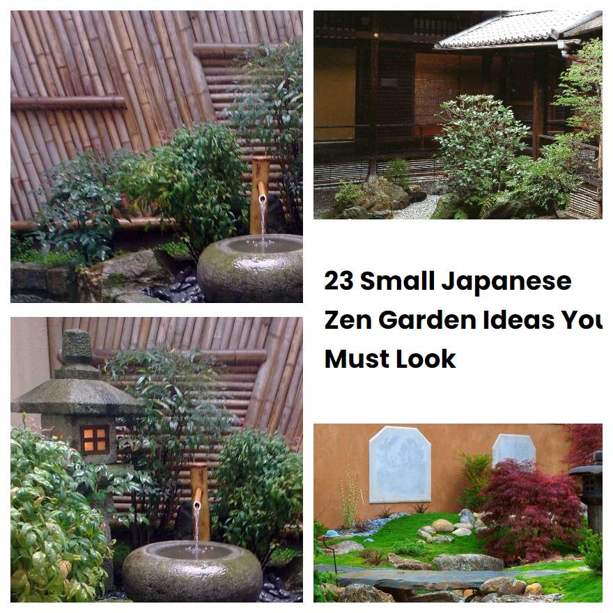 23 Small Japanese Zen Garden Ideas You Must Look