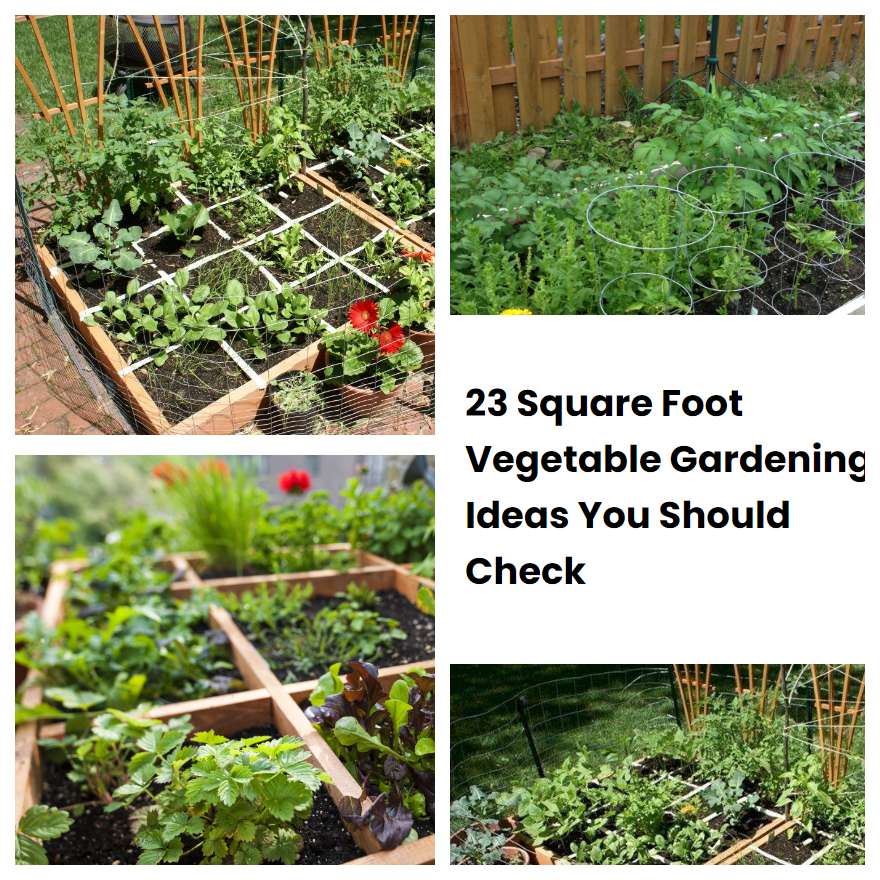 23 Square Foot Vegetable Gardening Ideas You Should Check
