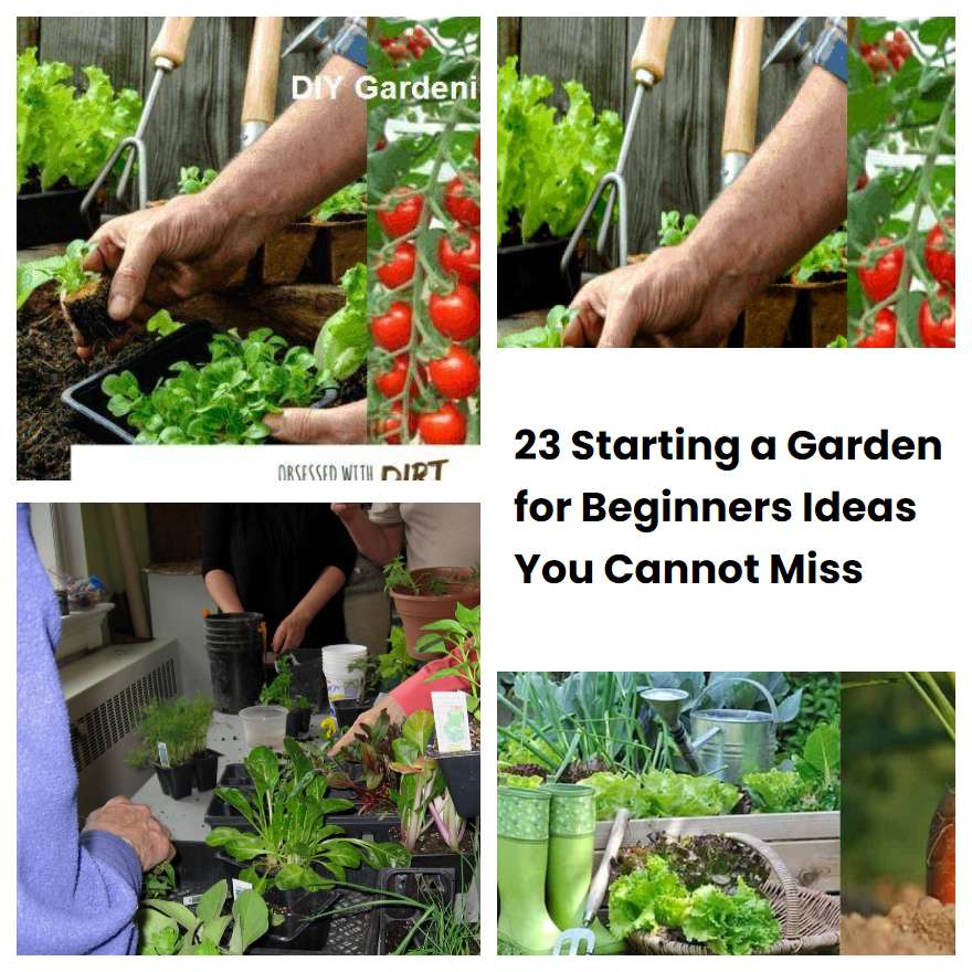 23 Starting a Garden for Beginners Ideas You Cannot Miss SharonSable