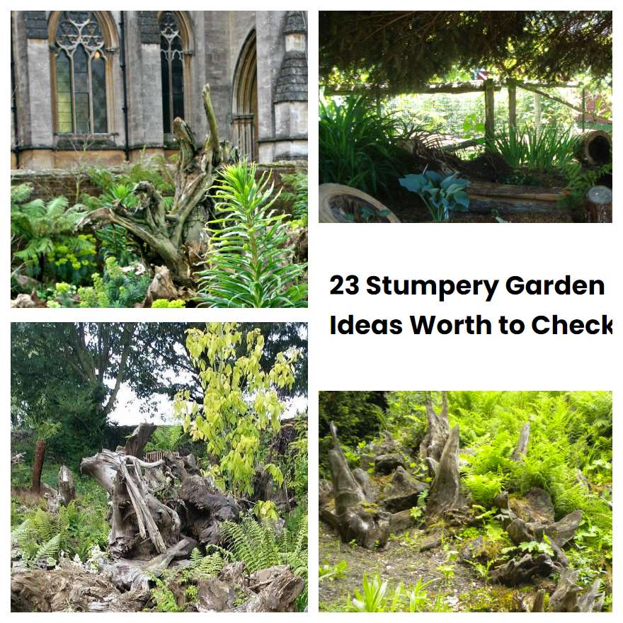 23 Stumpery Garden Ideas Worth to Check