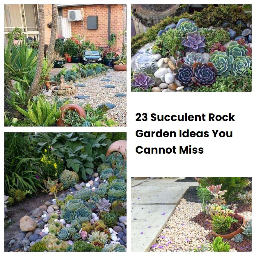 23 Succulent Rock Garden Ideas You Cannot Miss