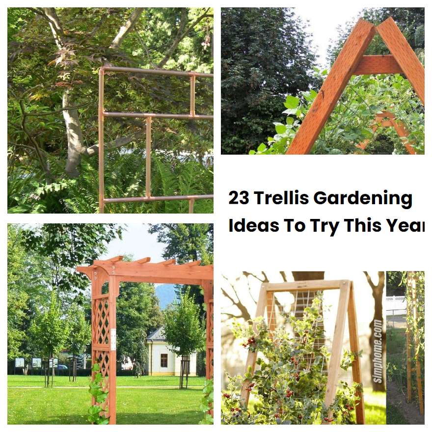 23 Trellis Gardening Ideas To Try This Year SharonSable