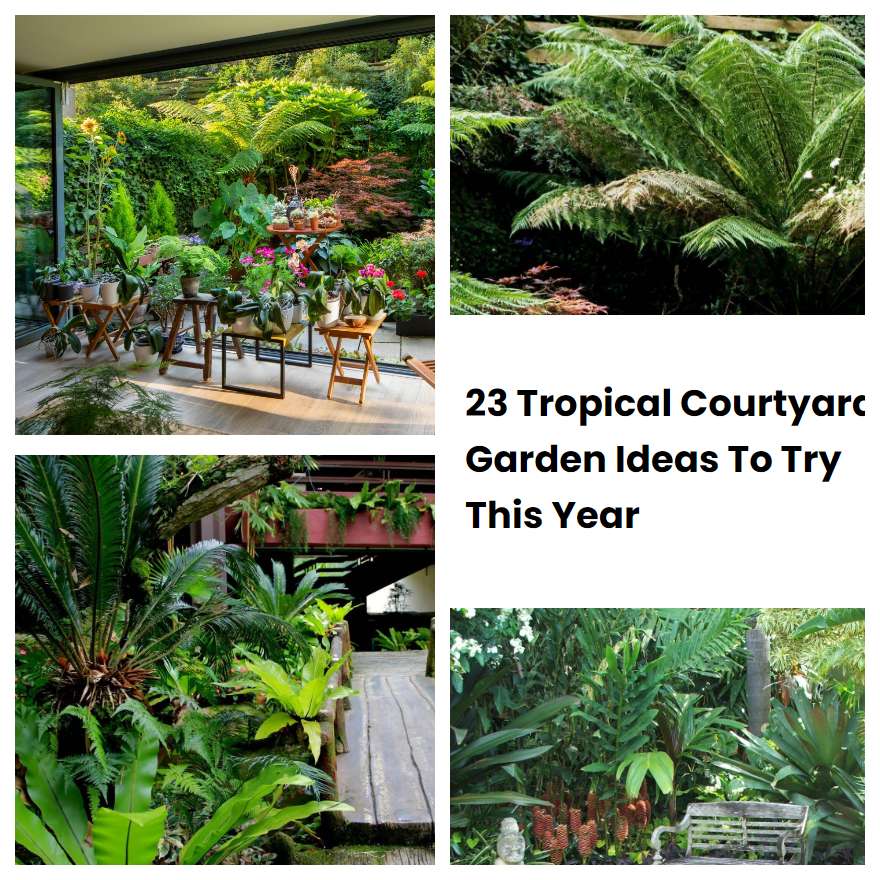 23 Tropical Courtyard Garden Ideas To Try This Year SharonSable