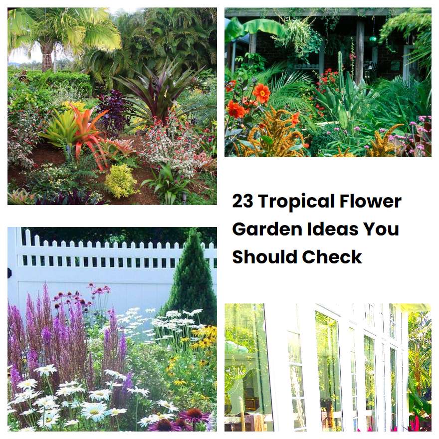 23 Tropical Flower Garden Ideas You Should Check SharonSable