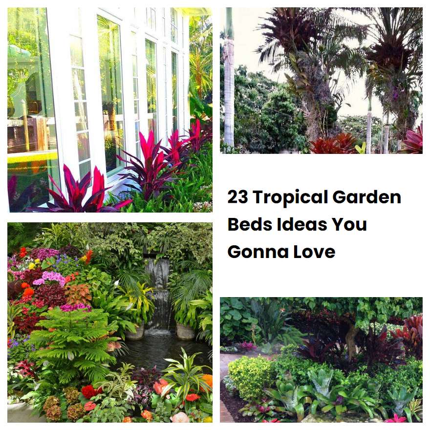 23 Tropical Garden Beds Ideas You Gonna Love SharonSable