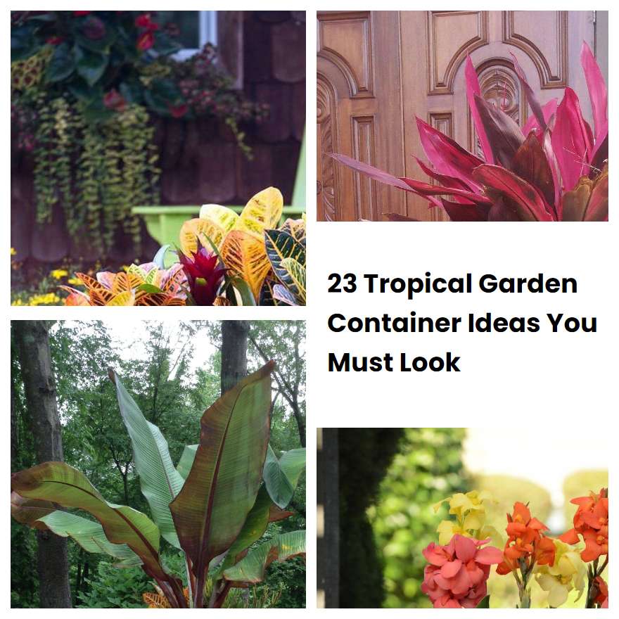 23 Tropical Garden Container Ideas You Must Look
