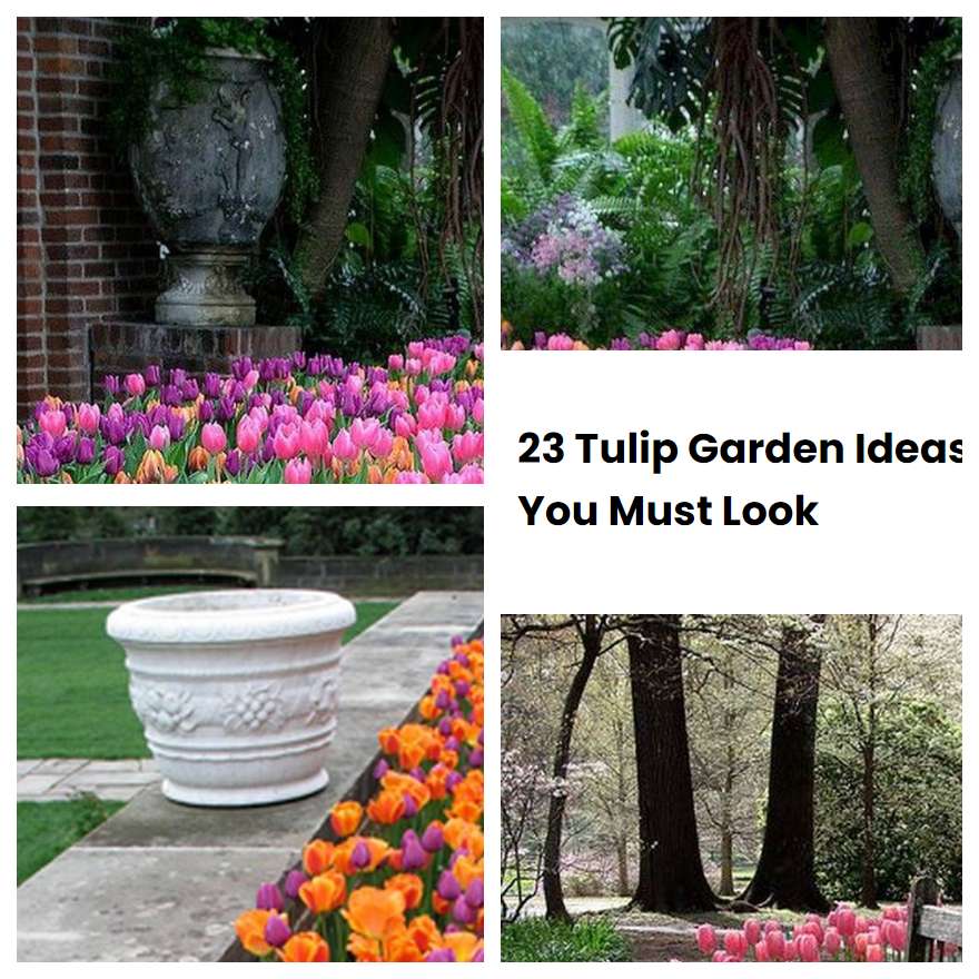 23 Tulip Garden Ideas You Must Look SharonSable