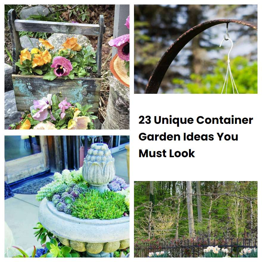 23 Unique Container Garden Ideas You Must Look