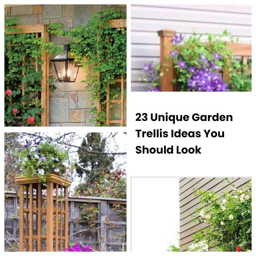 23 Unique Garden Trellis Ideas You Should Look SharonSable