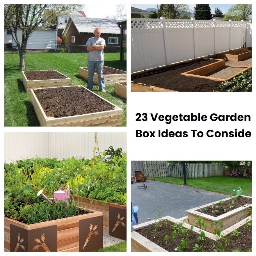 23 Vegetable Garden Box Ideas To Consider SharonSable