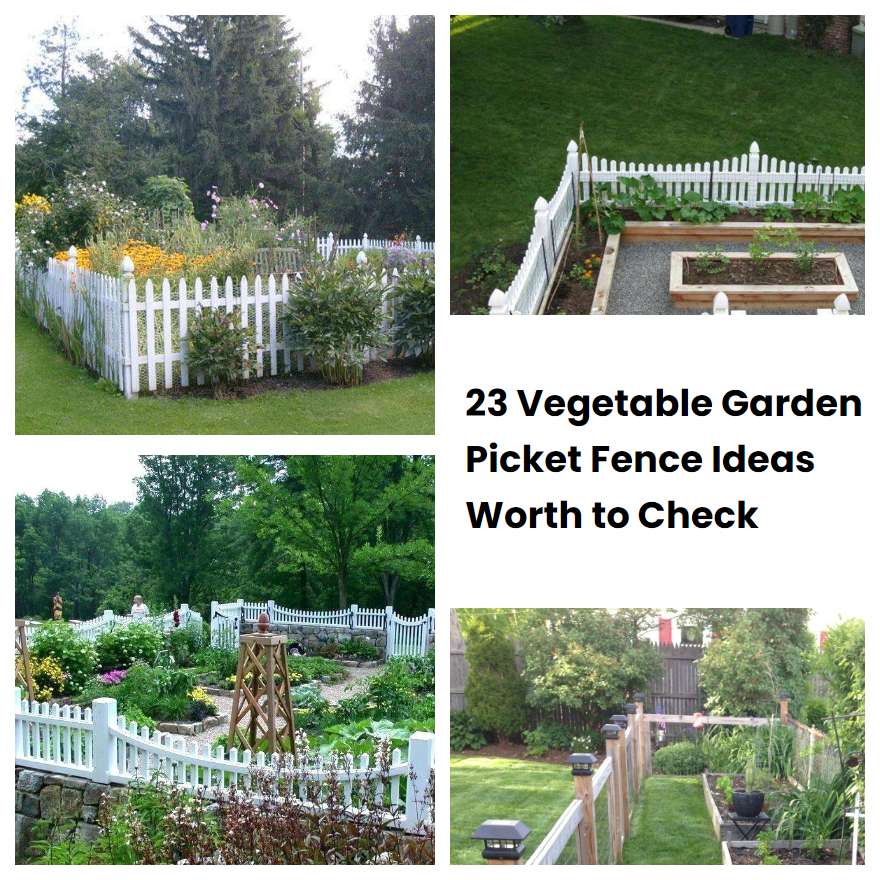 23 Vegetable Garden Picket Fence Ideas Worth to Check