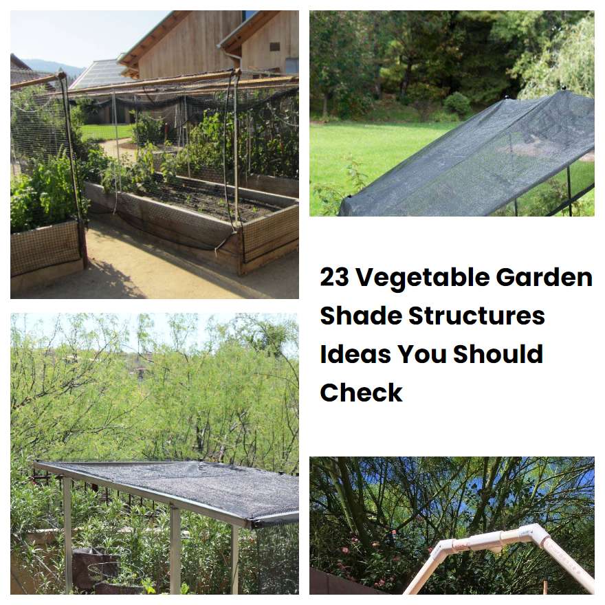 23 Vegetable Garden Shade Structures Ideas You Should Check SharonSable