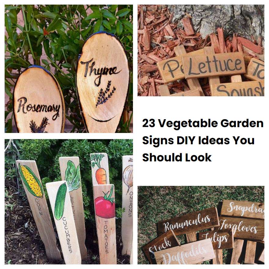 23 Vegetable Garden Signs DIY Ideas You Should Look SharonSable
