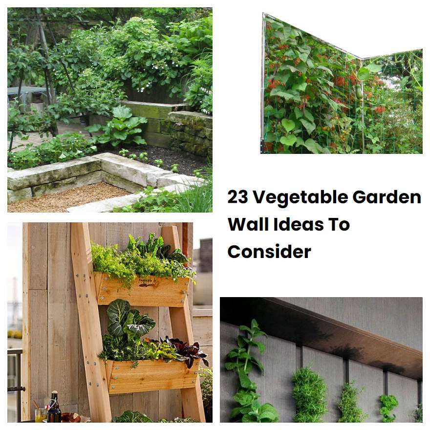 23 Vegetable Garden Wall Ideas To Consider