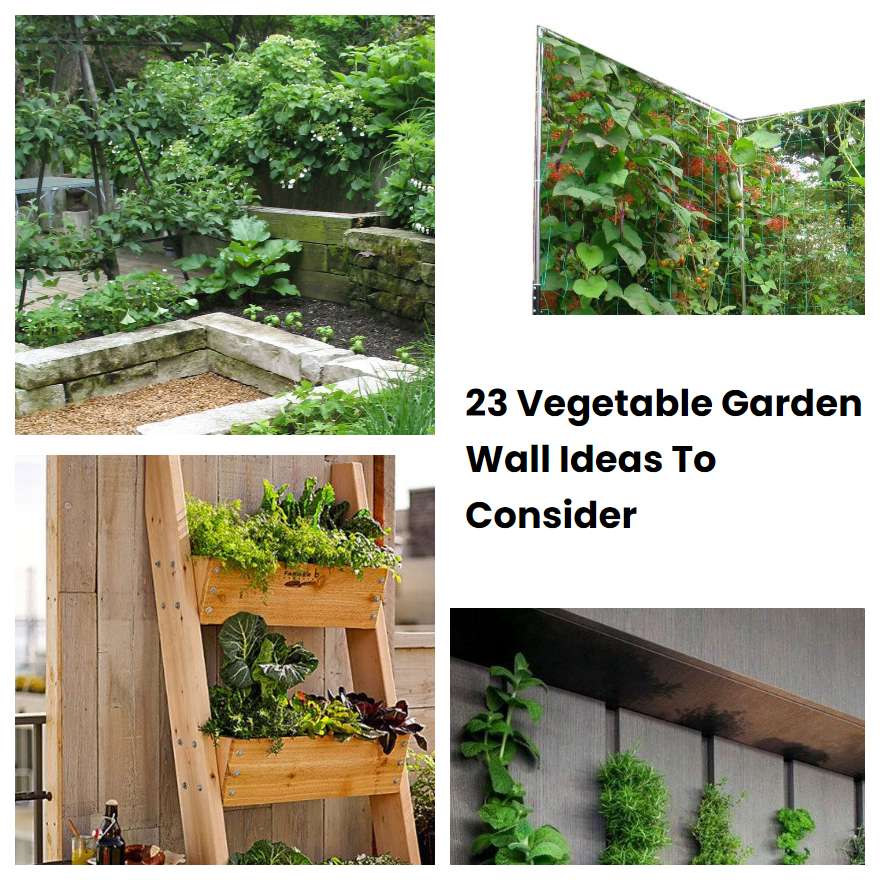 23 Vegetable Garden Wall Ideas To Consider SharonSable