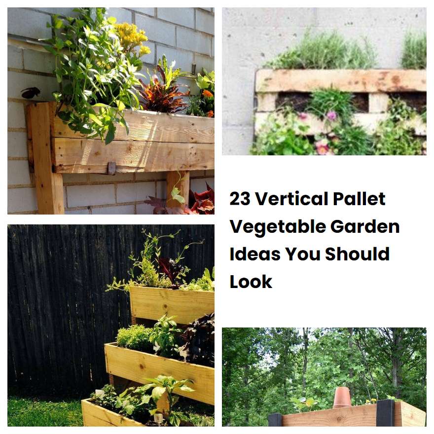 23 Vertical Pallet Vegetable Garden Ideas You Should Look SharonSable