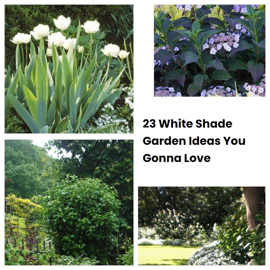 23 White Shade Garden Ideas You Gonna Love