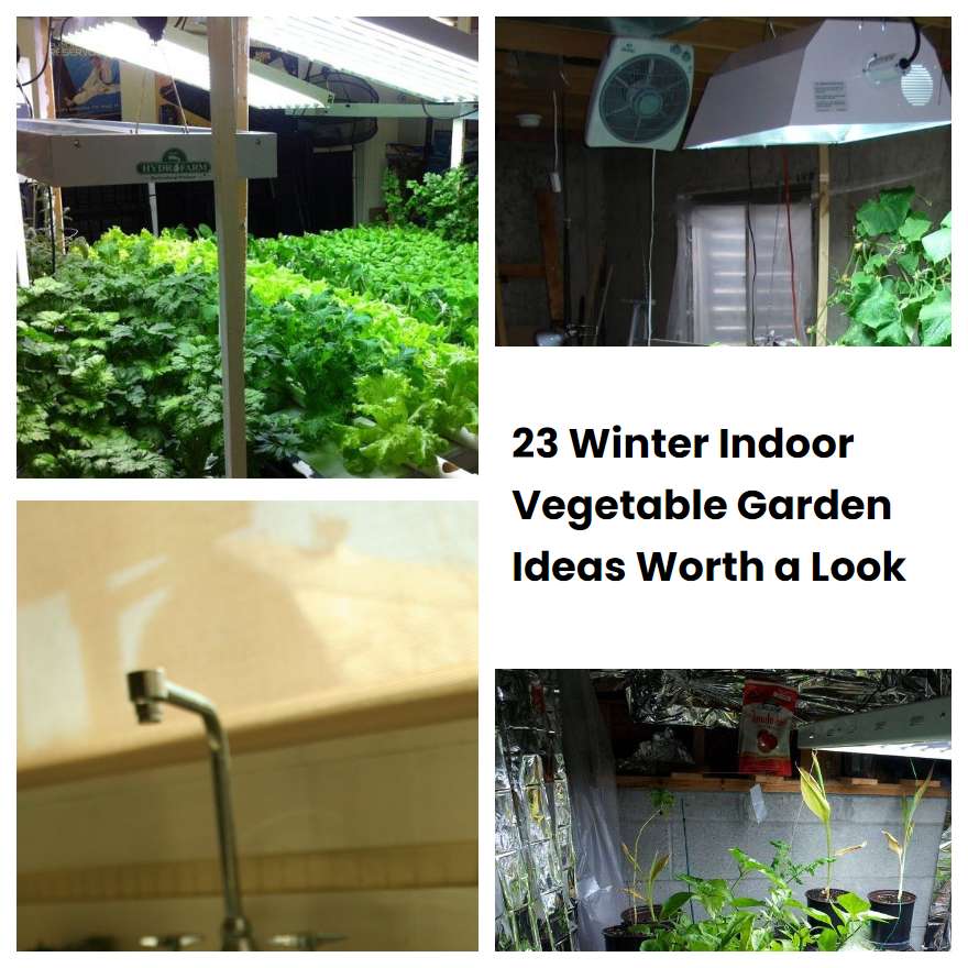 23 Winter Indoor Vegetable Garden Ideas Worth a Look