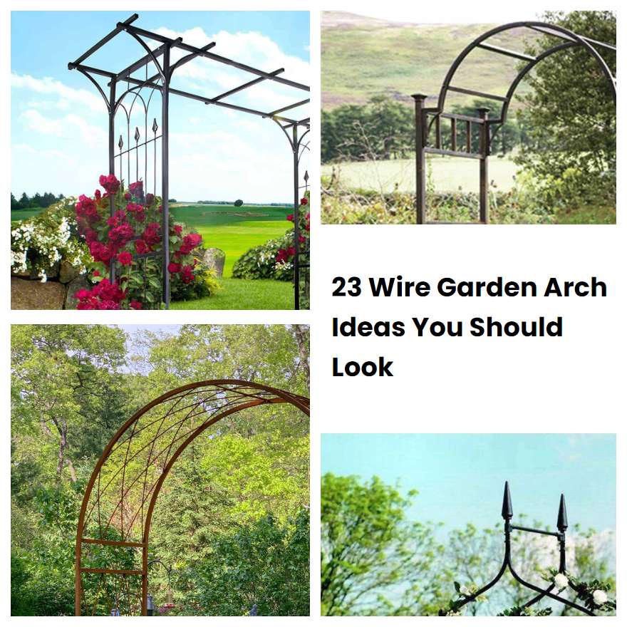 23 Wire Garden Arch Ideas You Should Look SharonSable