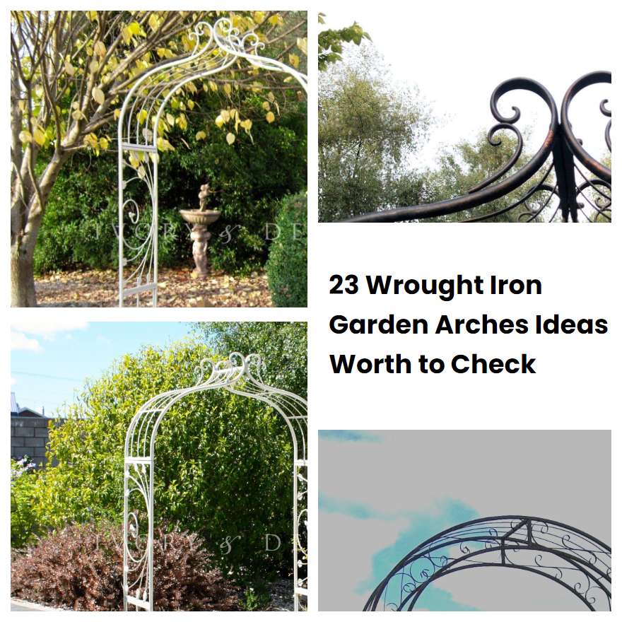23 Wrought Iron Garden Arches Ideas Worth to Check SharonSable