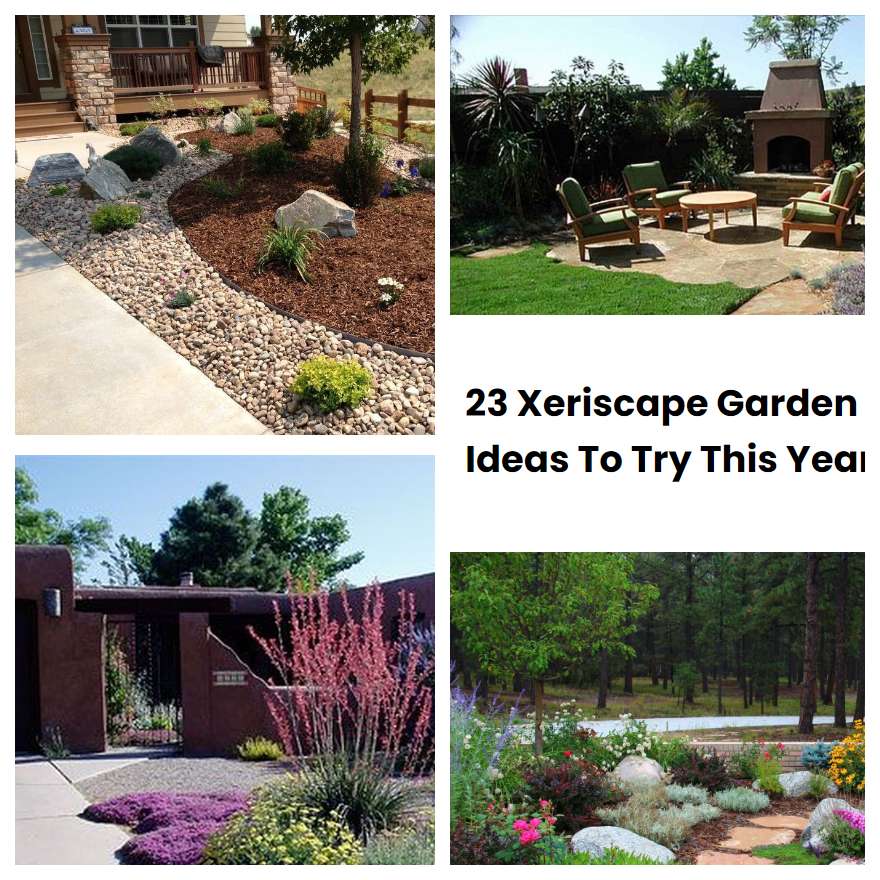 23 Xeriscape Garden Ideas To Try This Year