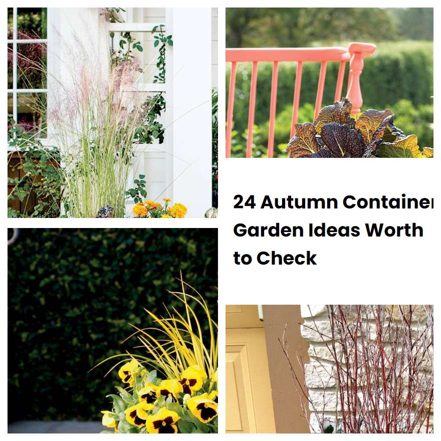 24 Autumn Container Garden Ideas Worth to Check SharonSable