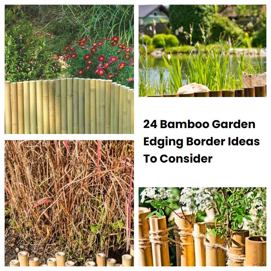 24 Bamboo Garden Edging Border Ideas To Consider SharonSable