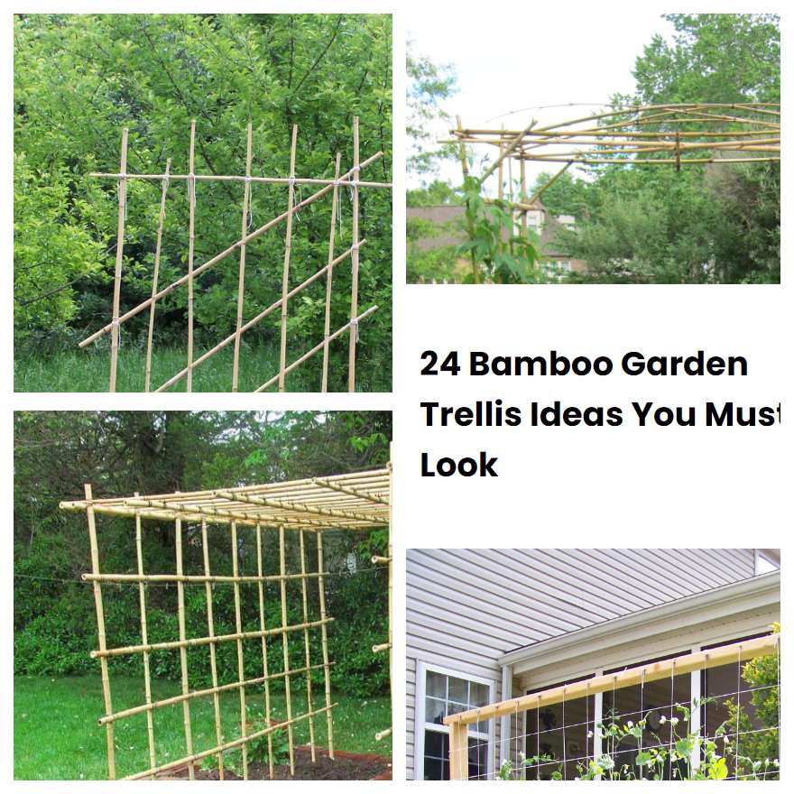 24 Bamboo Garden Trellis Ideas You Must Look SharonSable