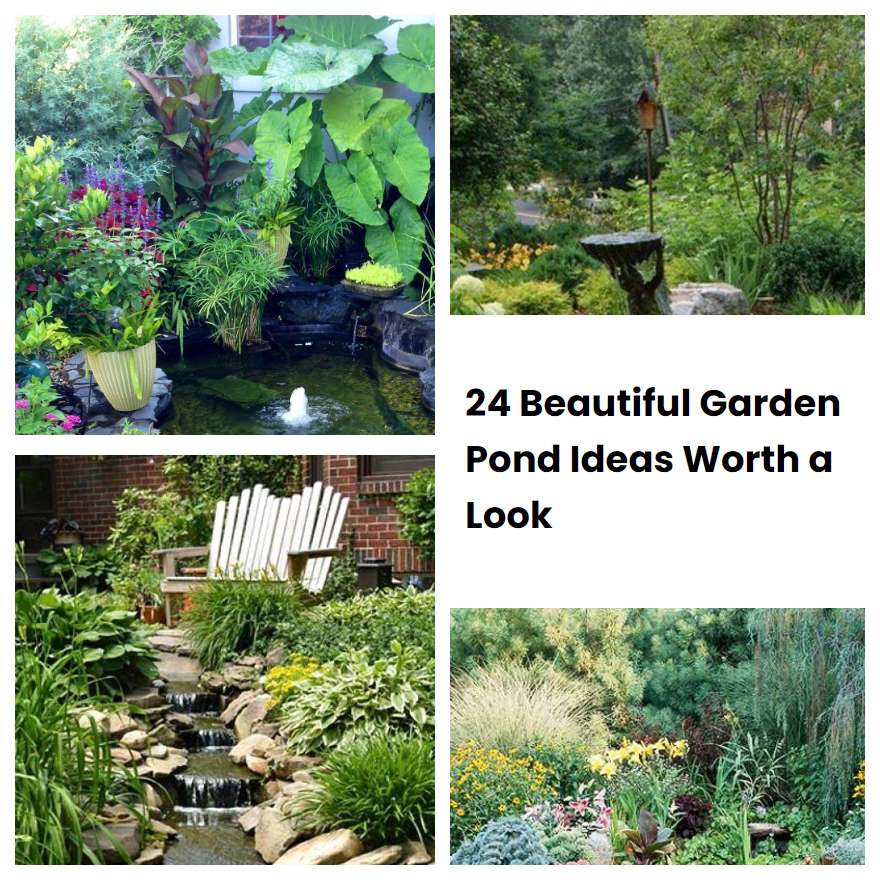 24 Beautiful Garden Pond Ideas Worth a Look