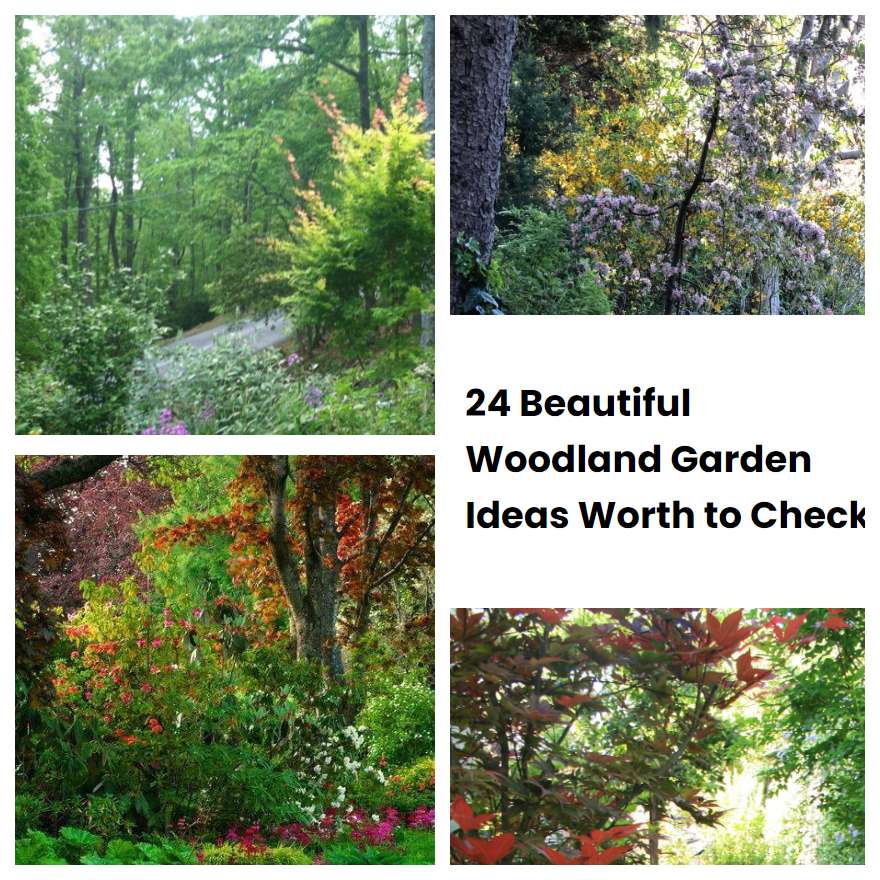 24 Beautiful Woodland Garden Ideas Worth to Check