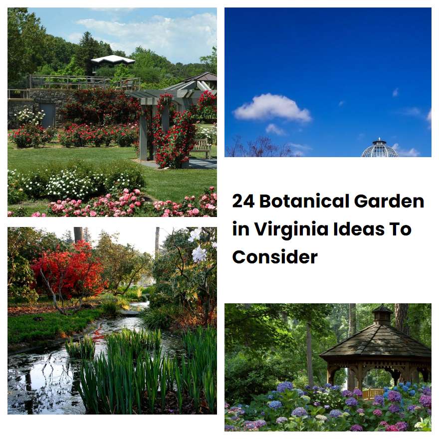 24 Botanical Garden in Virginia Ideas To Consider SharonSable