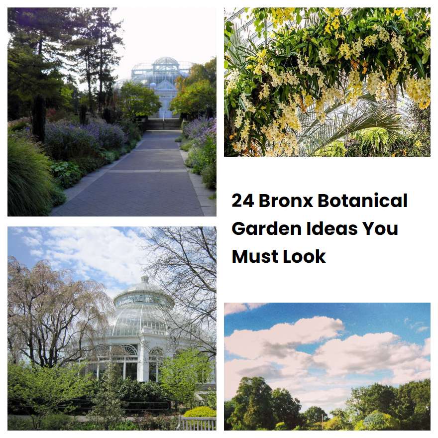 24 Bronx Botanical Garden Ideas You Must Look