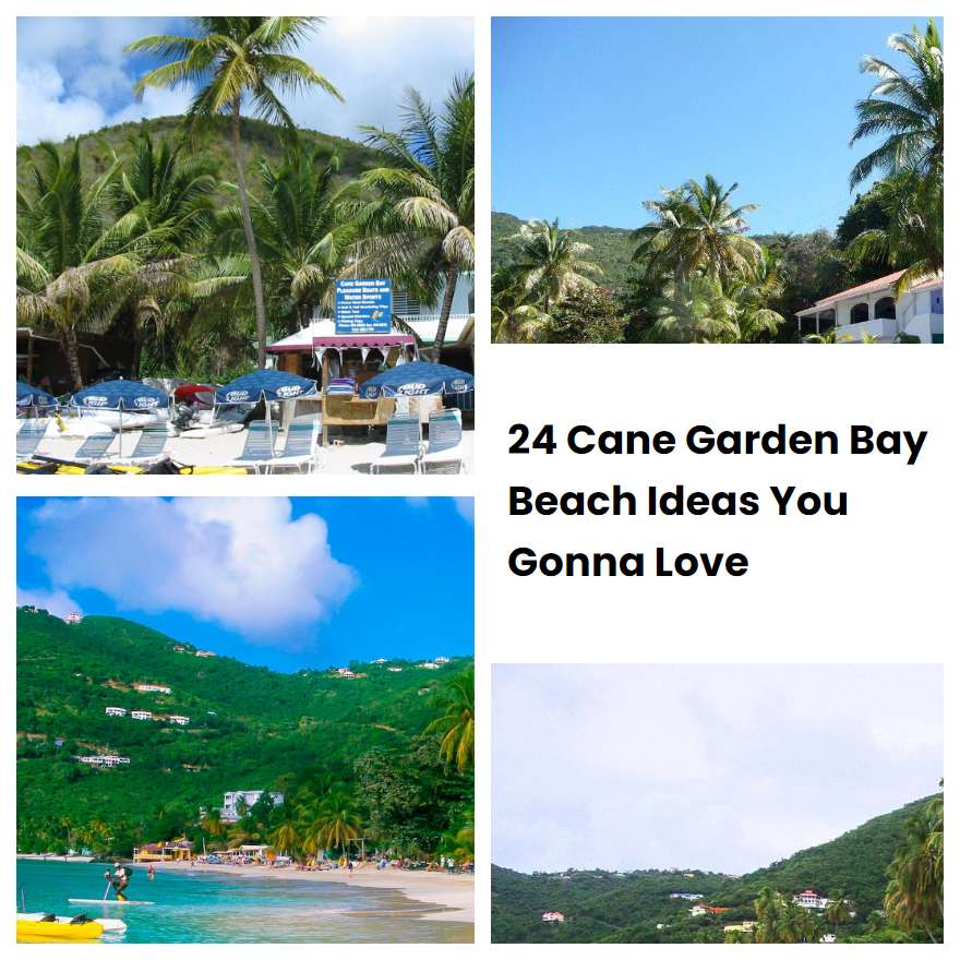 24 Cane Garden Bay Beach Ideas You Gonna Love