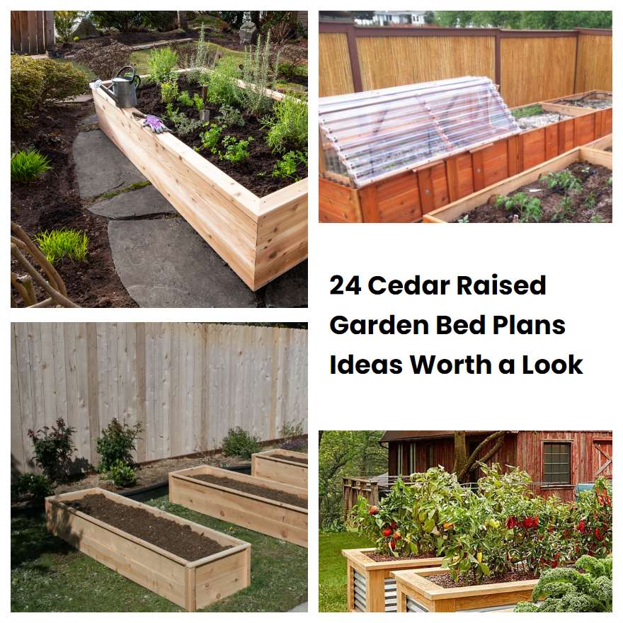 24 Cedar Raised Garden Bed Plans Ideas Worth a Look