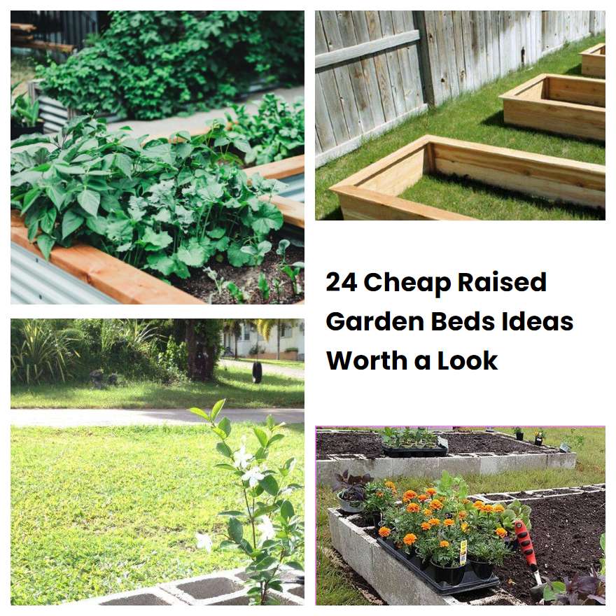 24 Cheap Raised Garden Beds Ideas Worth a Look