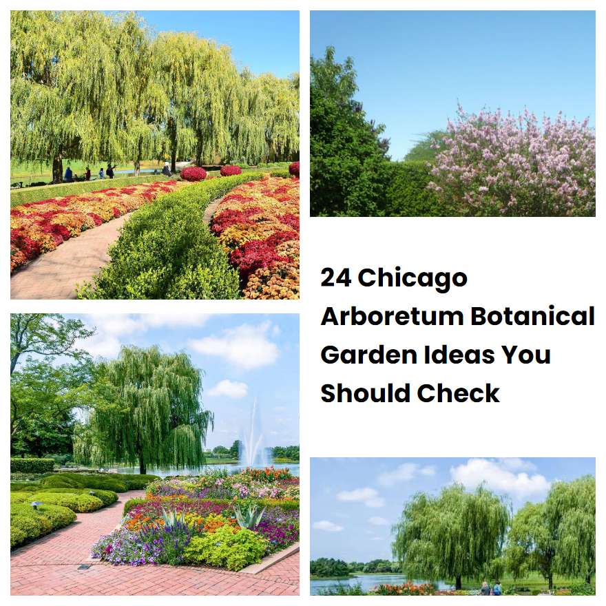 24 Chicago Arboretum Botanical Garden Ideas You Should Check
