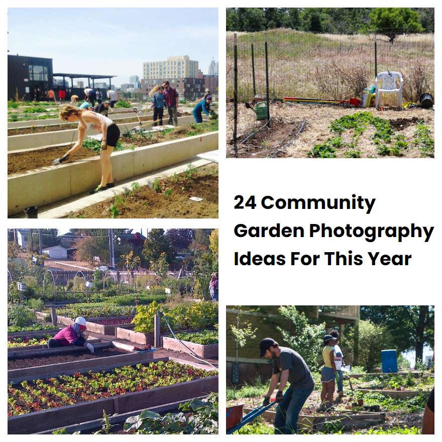 24 Community Garden Photography Ideas For This Year