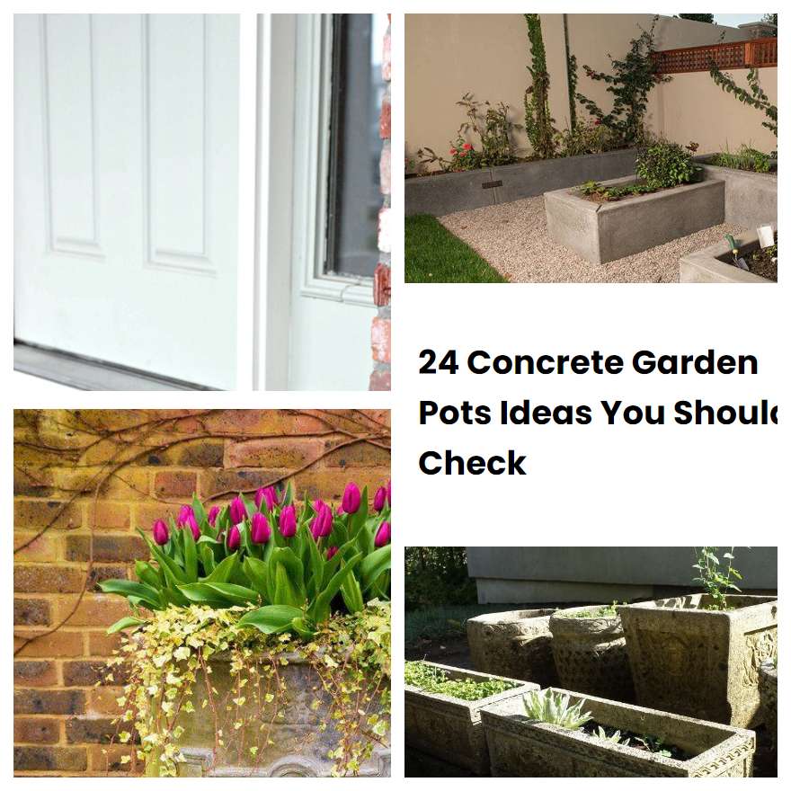 24 Concrete Garden Pots Ideas You Should Check SharonSable