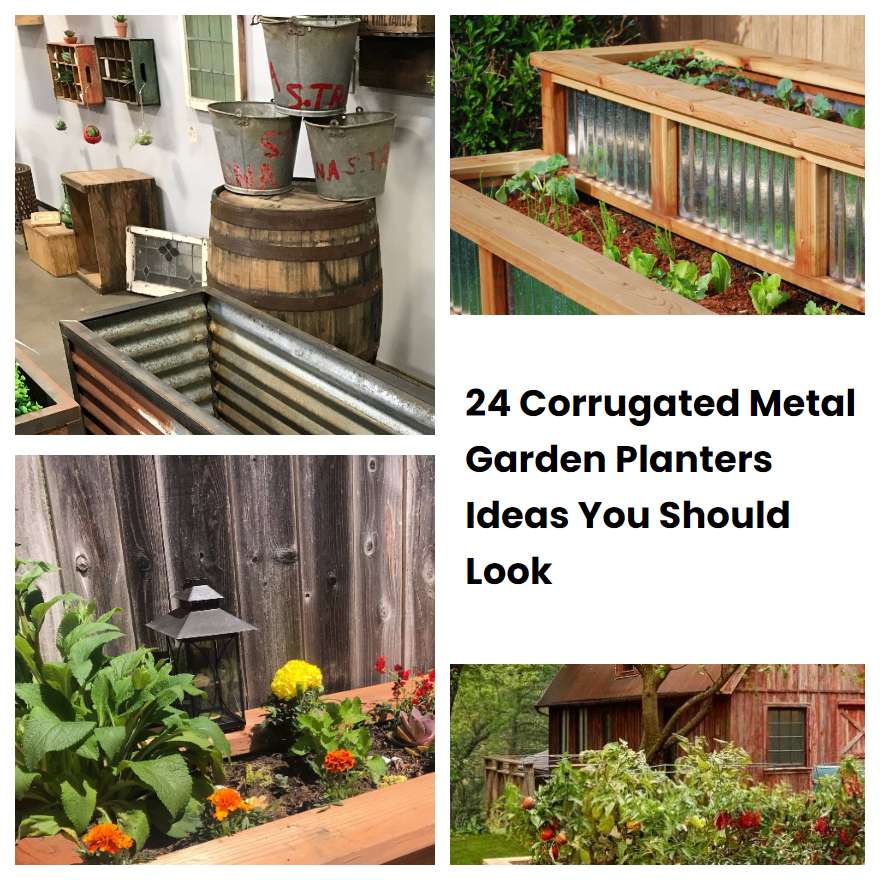 24 Corrugated Metal Garden Planters Ideas You Should Look SharonSable