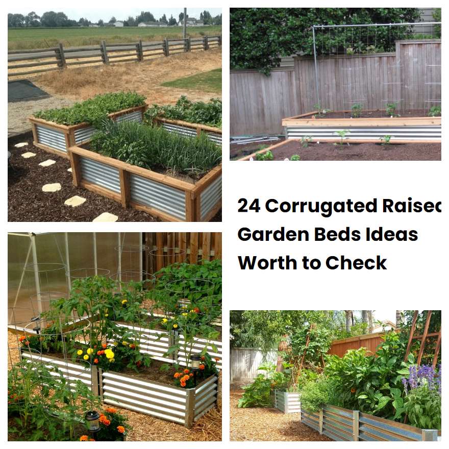 24 Corrugated Raised Garden Beds Ideas Worth to Check