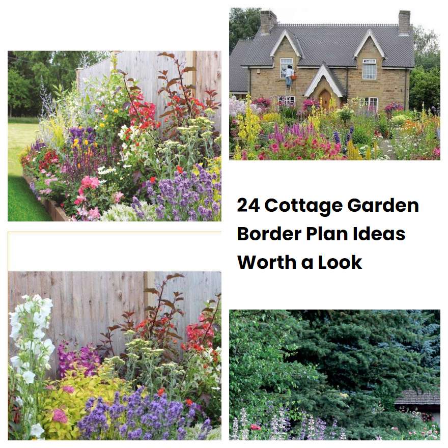 24 Cottage Garden Border Plan Ideas Worth a Look SharonSable