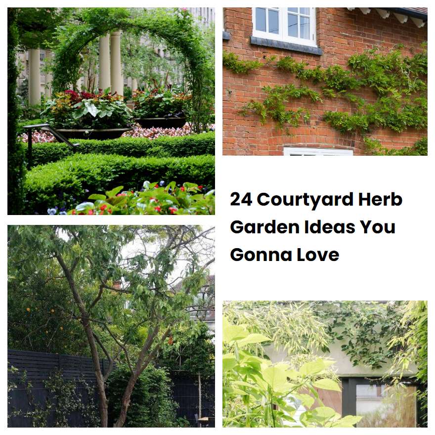 24 Courtyard Herb Garden Ideas You Gonna Love