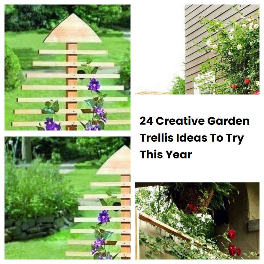 24 Creative Garden Trellis Ideas To Try This Year