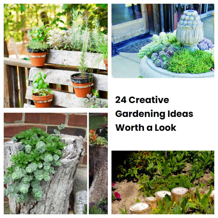24 Creative Gardening Ideas Worth a Look