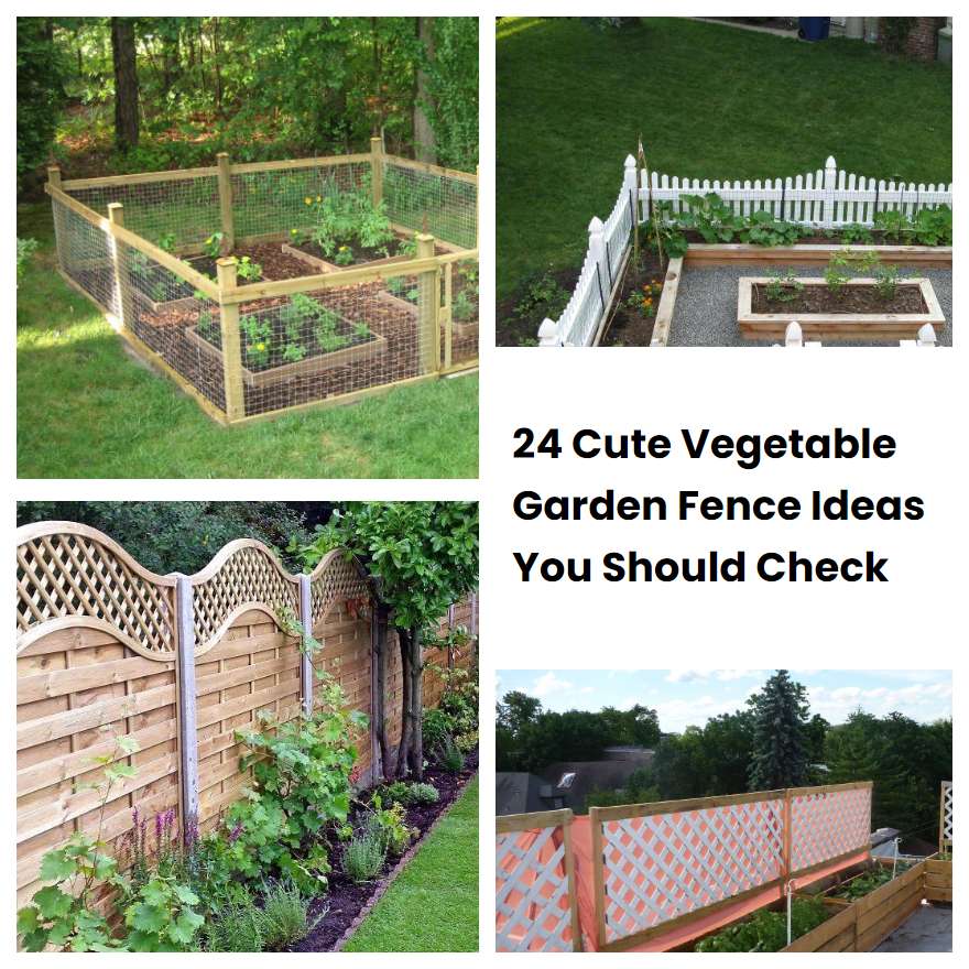 24 Cute Vegetable Garden Fence Ideas You Should Check SharonSable