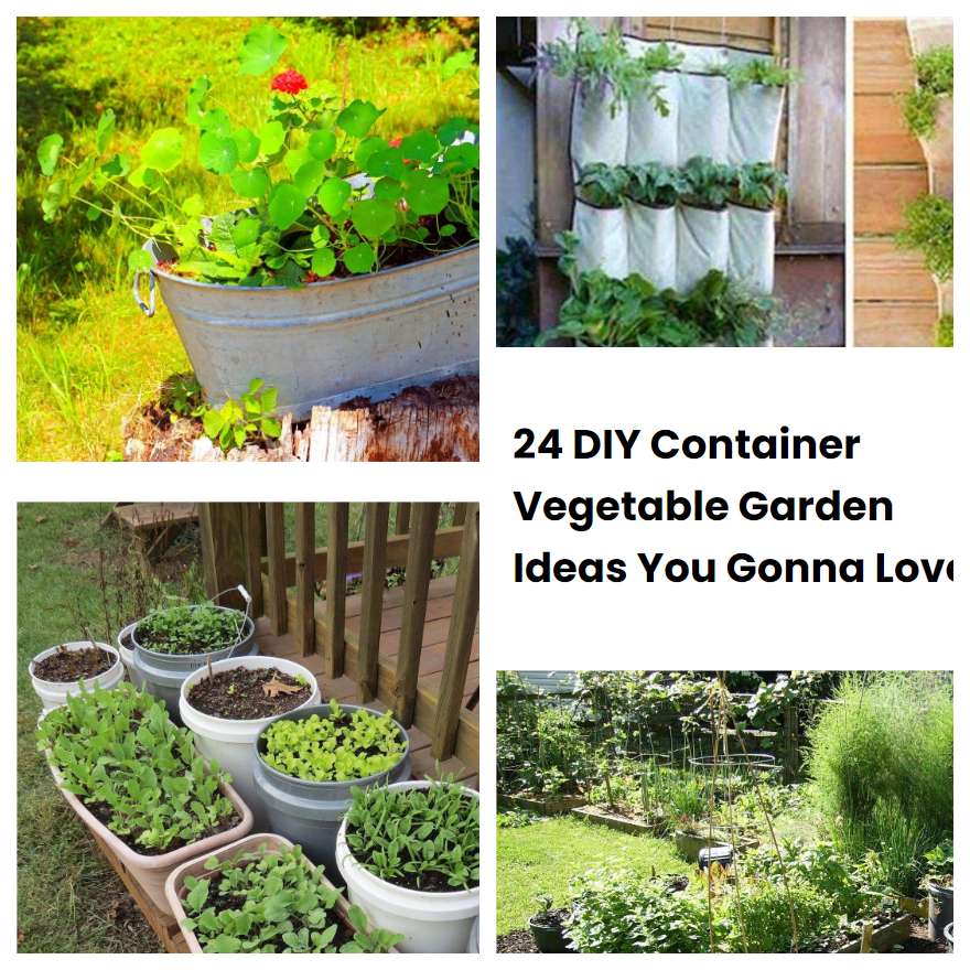 24 DIY Container Vegetable Garden Ideas You Gonna Love