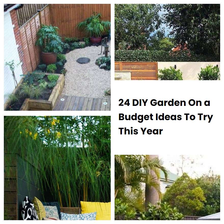 24 DIY Garden On a Budget Ideas To Try This Year